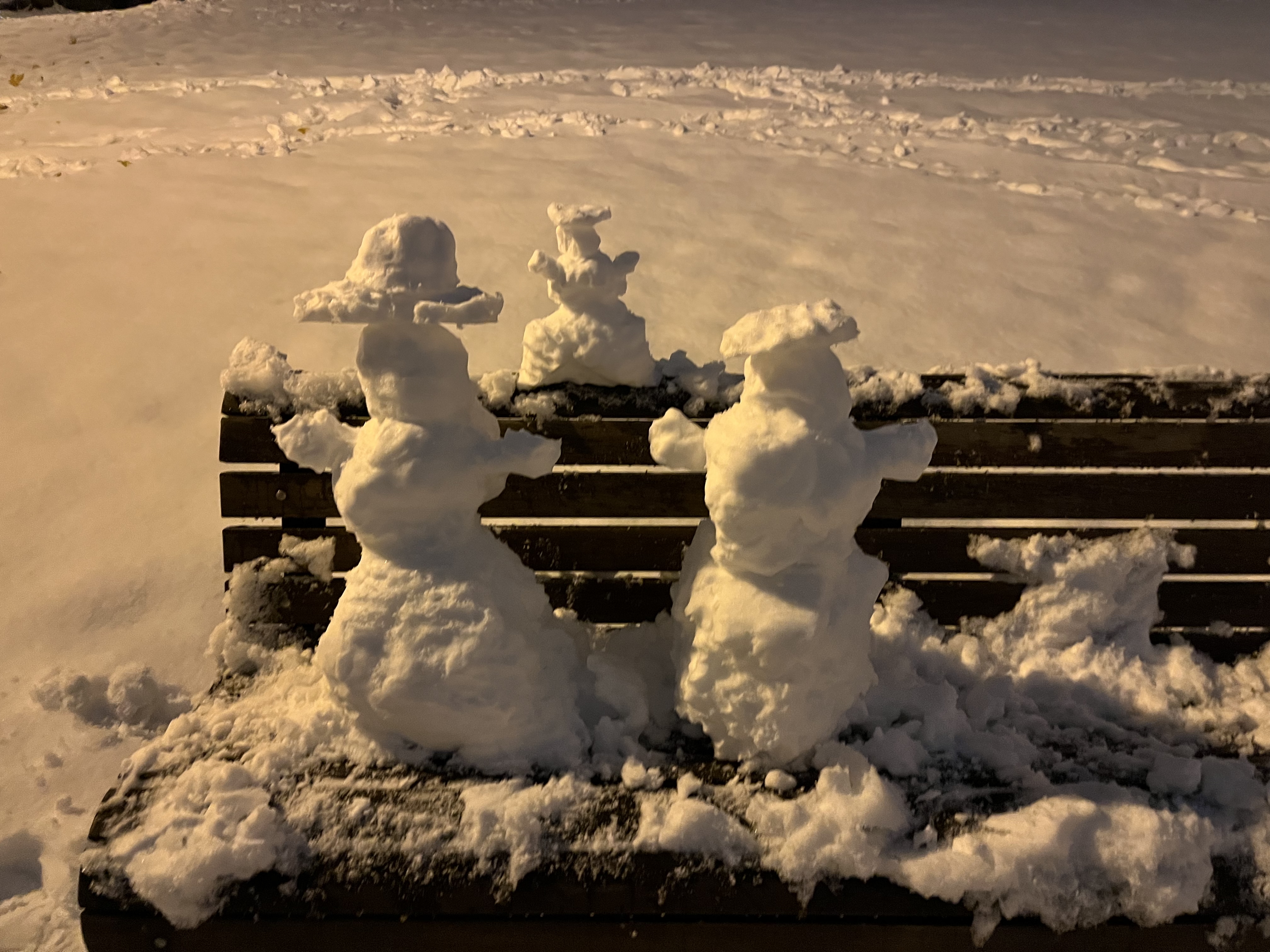 A picture of some snowfigures I made